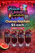Chamoy Keychain (1)